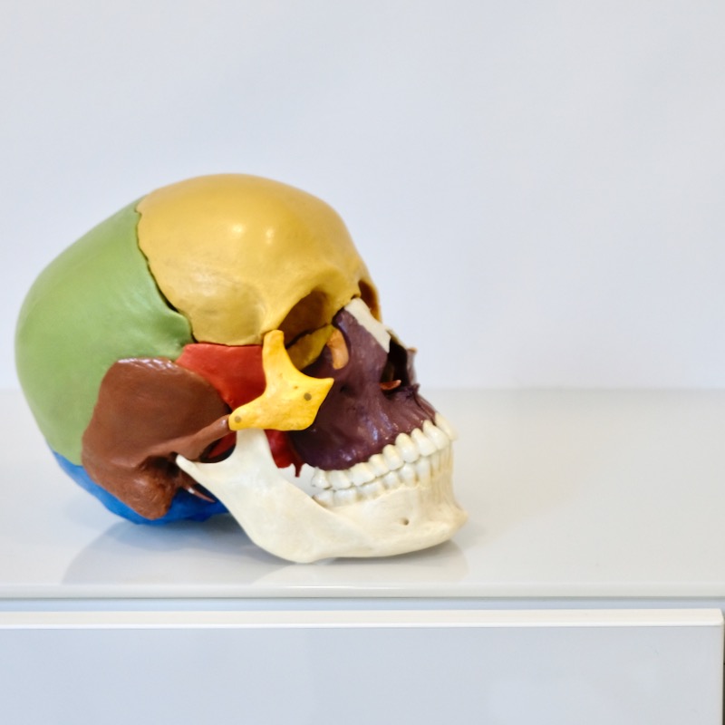Osteopathie und <br>Cranio Sacral Therapie